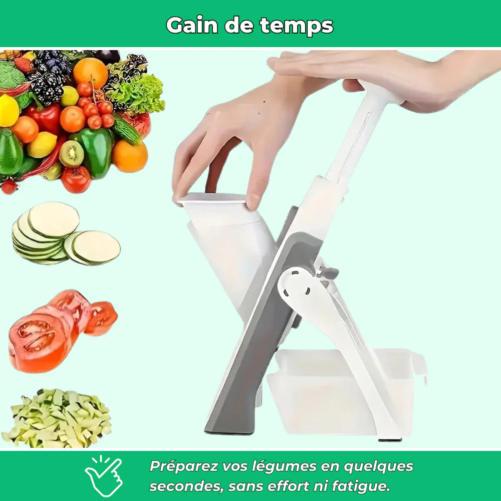 4 in 1 Mandoline Spring Slicer Vegetable and Fruits Cutter